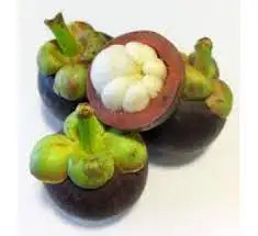 High Quality and Reasonable Prices Fresh Mangosteen from Viet Nam for wholesaler and for buyer (+84983028718)