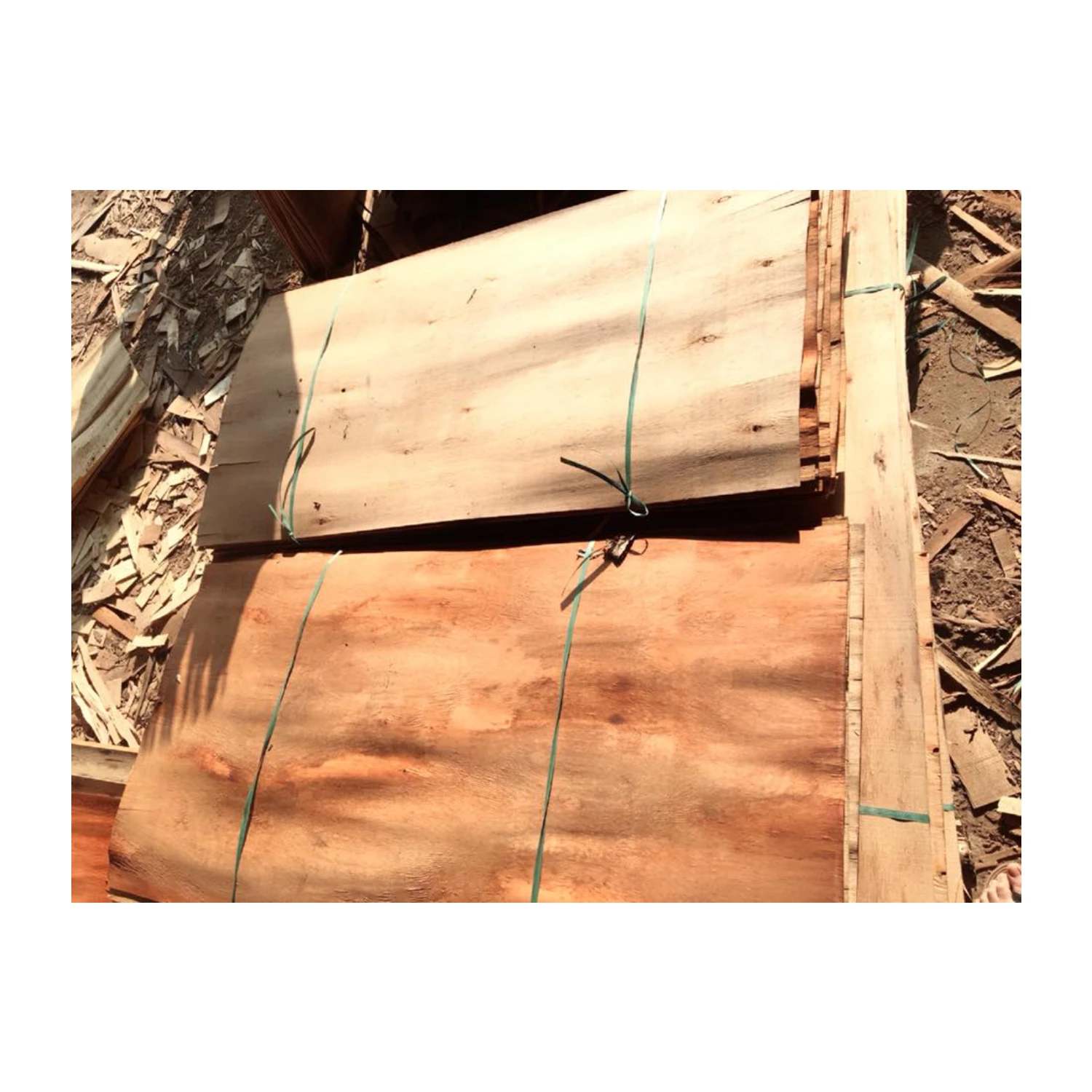 NATURAL EUCALYPTUS/ACACIA/RUBBER CORE VENEER WITH VERY CHEAP PRICE