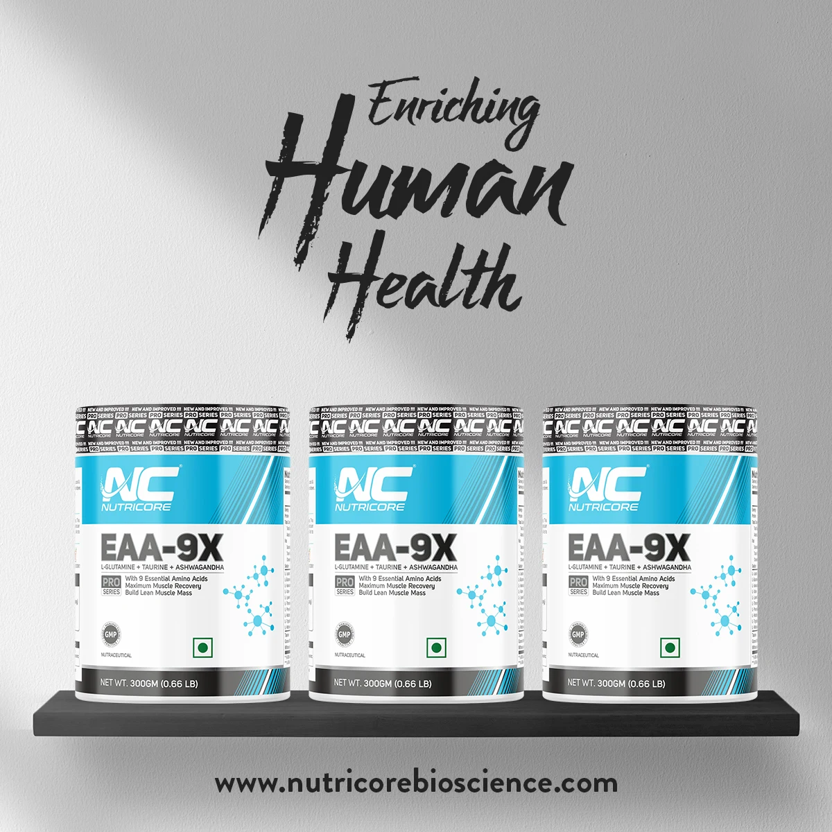 Wholesale Gym Supplement EAA 9X - Flavored EAA Powder 300 Gm Pack