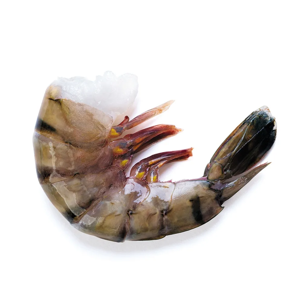 Raw Frozen Tiger shrimp / Black Tiger Shrimp