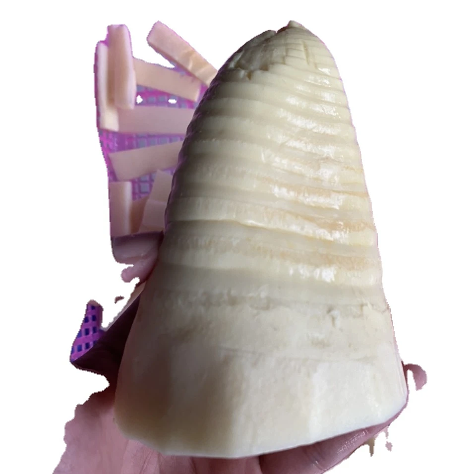 Консервированные соленые маринованные детские бамбуковые овощи от вьетнамского крупнейшего производителя только на экспорт