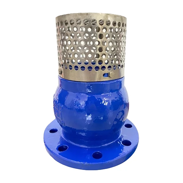 Factory price PN16 Foot Check Valve with Strainer DN50-DN150 Flange Foot Check Valve