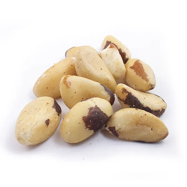 Brazil Nuts Betel Premium Quality / Full Of Natural Nutrition