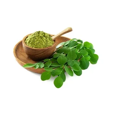 Quality Assurance 100% Organic Moringa Powder Top Quality Pure Moringa Extract Powder Exporter From India
