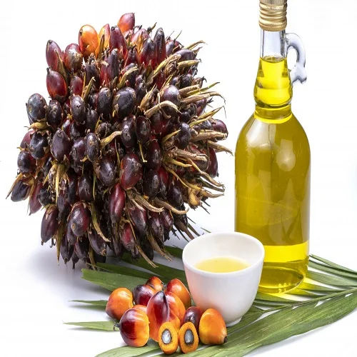 Palm Oil RBD PALM OLEIN From Malaysia  For Cooking