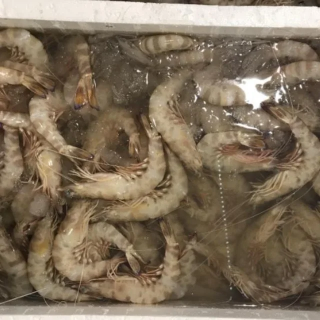 Bulk Stock Available Of Red Shrimps Prawns / Frozen Vannamei Shrimp (Seafood) At Wholesale Prices