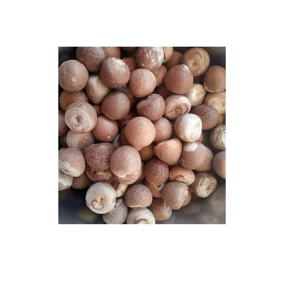 Wholesale price high quality raw betel dried indonesia betel nuts areca nut
