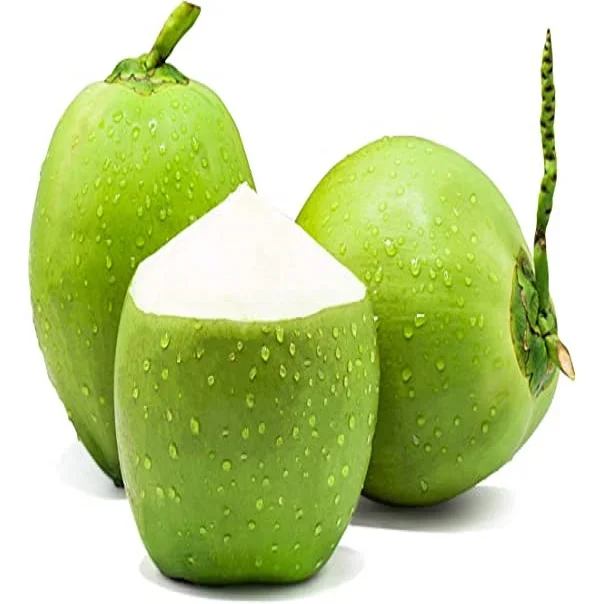 Top Rank Fresh Coconut Premium Quality from Thailand Young Coconut 20 Green Sweet Young Coconut