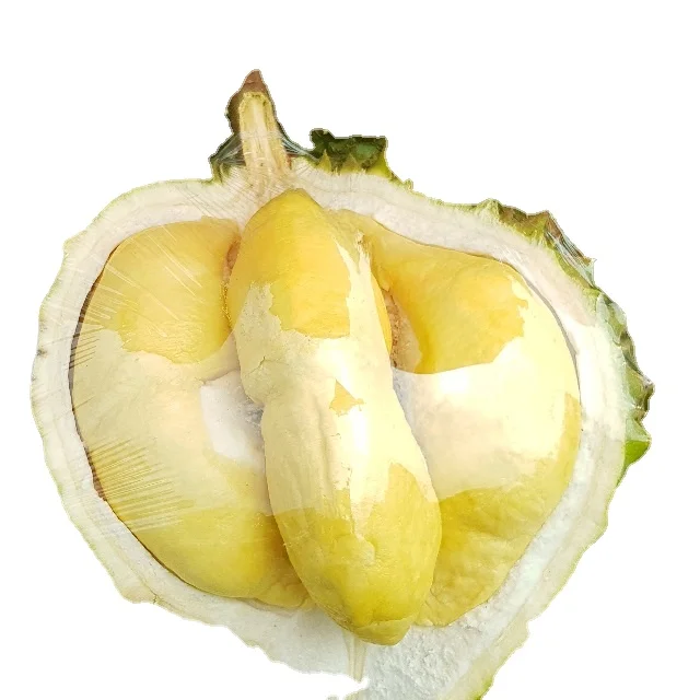 Fresh Frozen Durian 500 gram in Vacuum PE bag with plastic tray/ ripe naturally  good quality for sale