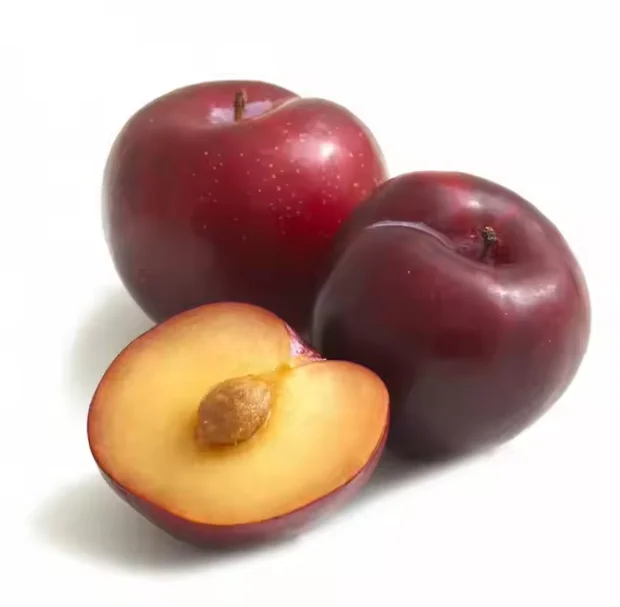 Слива, сделанная во Вьетнаме, 100%, натуральный органический Тип выращивания, Оптовая Продажа, Горячая 2024