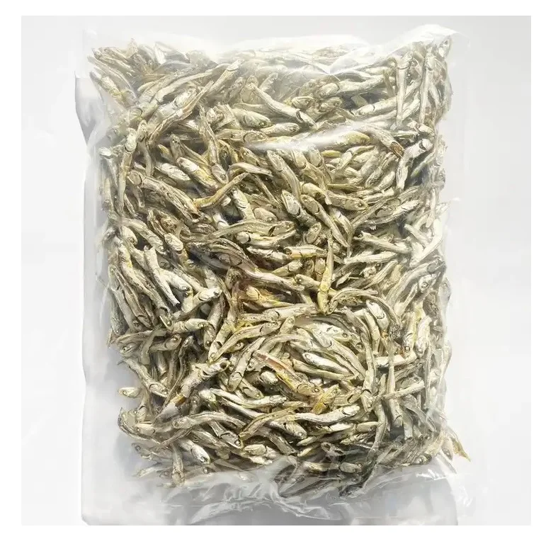 Japanese Best Perfect Sardines Fish Fresh Import Export Seafood