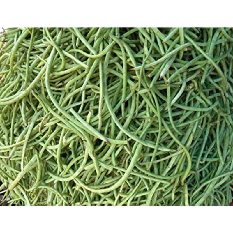 Indian Black Eyed Cow Pea polo beans fresh vegetable for top sale at good discounted price By Air in customize Packing