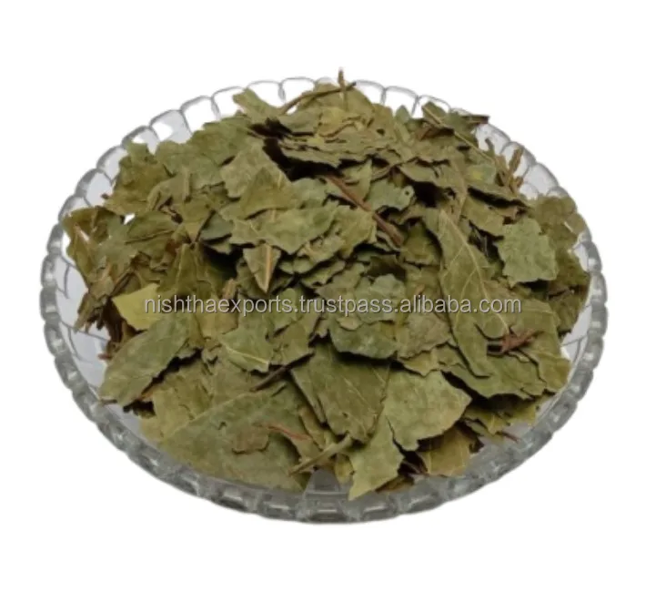 Aegle Marmelos Bel Bael Leaves Bel Patta Bel Patra Bilva Leaves Dried Natural Raw Herbs Wholesale Plant Extract Herbal Product