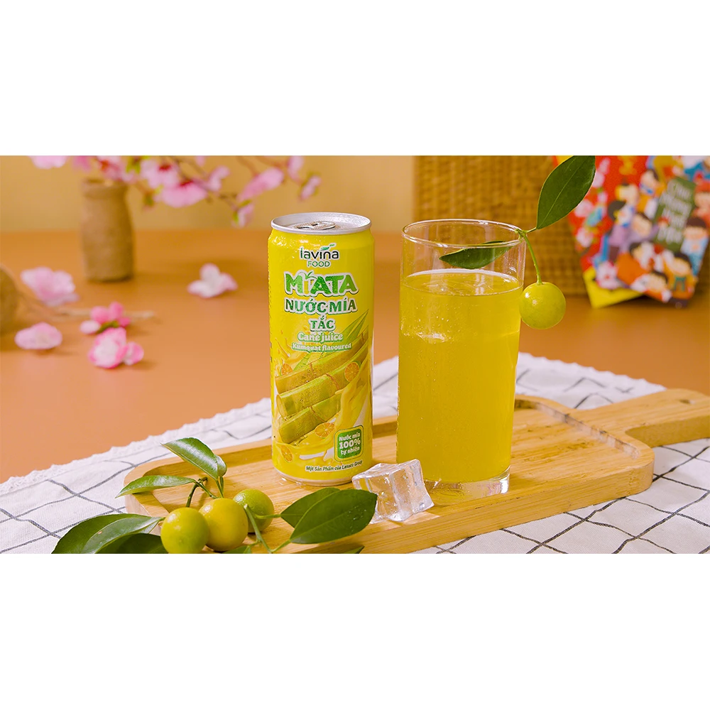 Tropical Drink Miata Sugarcane Juice Kumquat Flavored Tiny Can Beverage Manufacturer Vietnamese