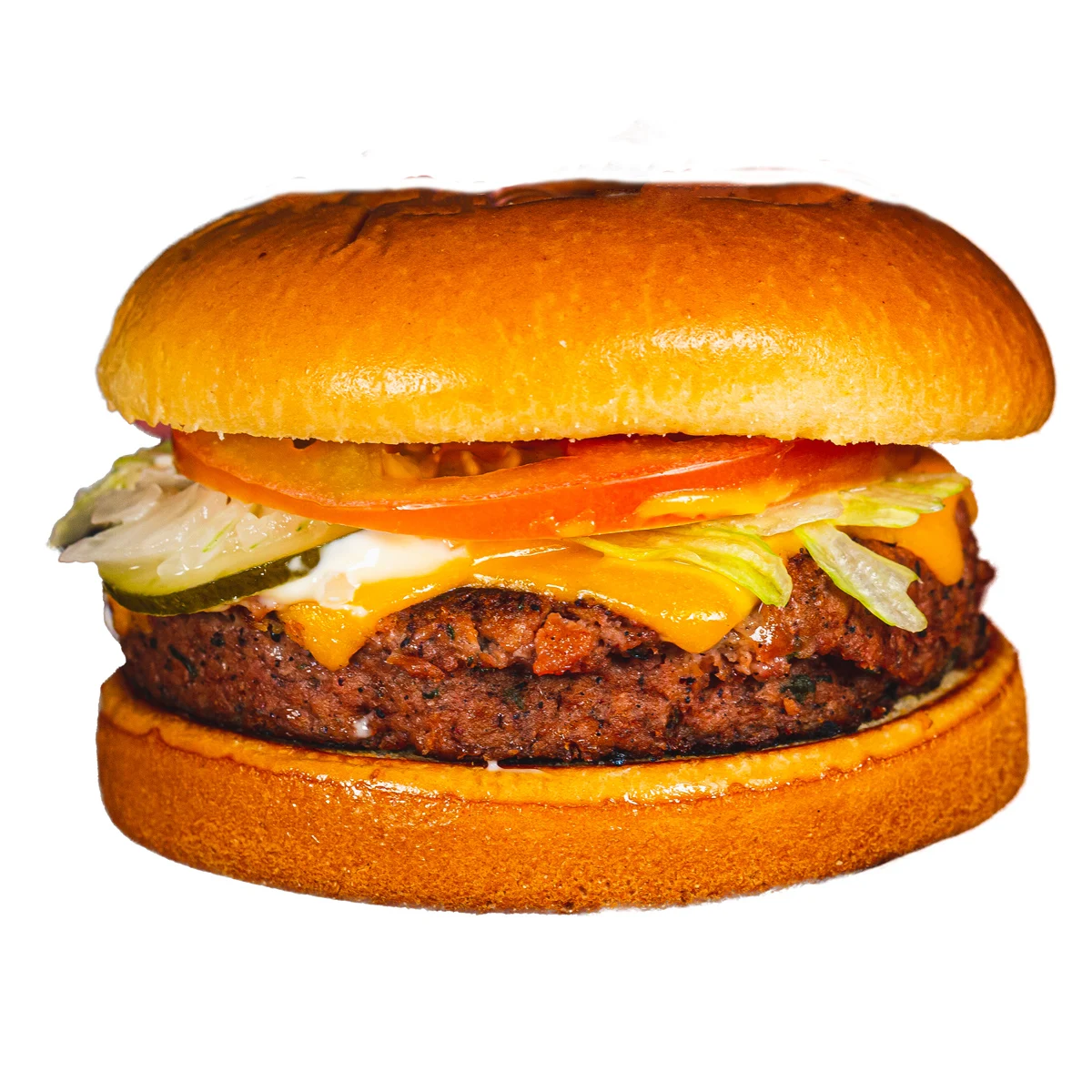 Plant Based Frozen Meat Amazonika Burger Vegan of Pea Protein Amazon Spices Sustainable Non-GMO Quality No Added Preservatives