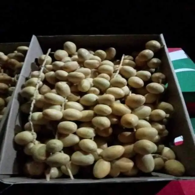 Fresh date ,Wholesale Price