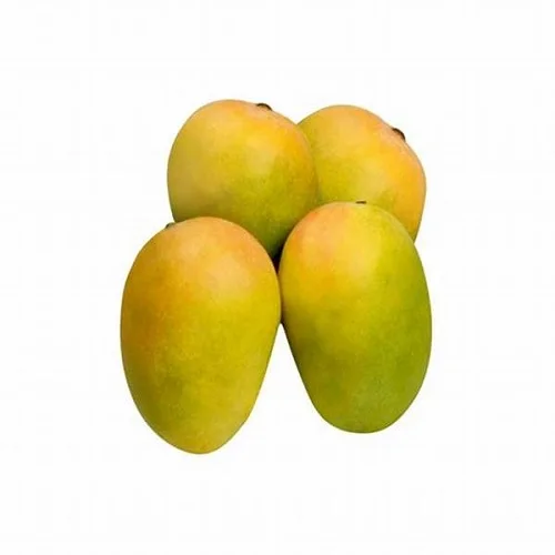 Good Sell Premium Fresh Mango Yellow Mango Cheap Price Fresh Mango Fruit