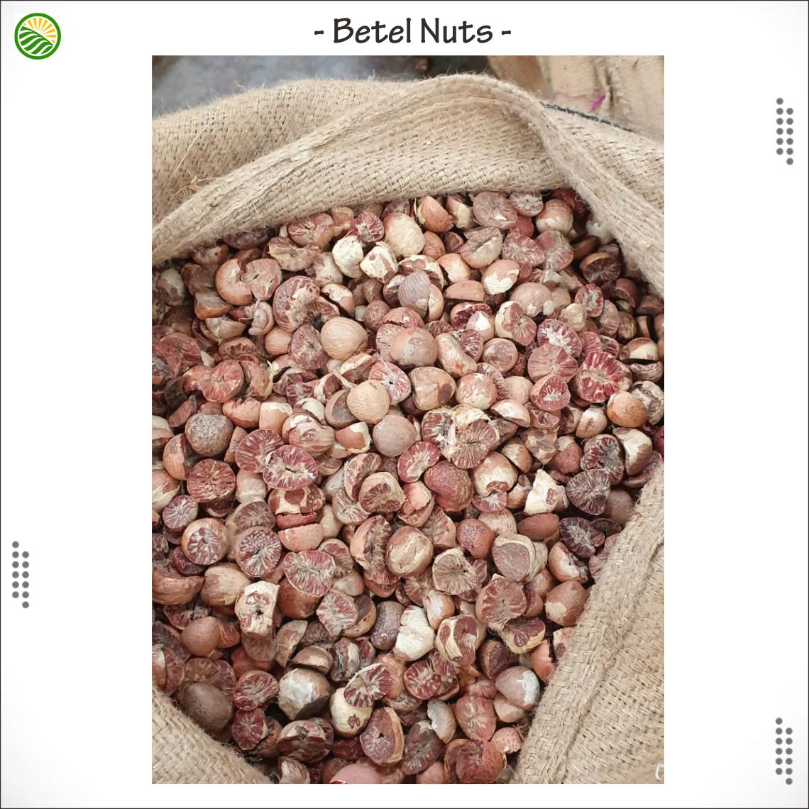 Лучший BETEL NUT! 100% Индонезии; Сделаны из натурального коричневого цвета молодых сушеный орех катеху