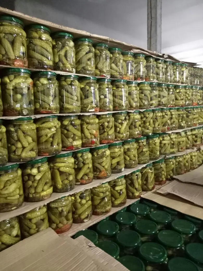 BEST SELLER PICKLED GHERKINS - HOT SALES CANNED PICKLED CUCUMBER