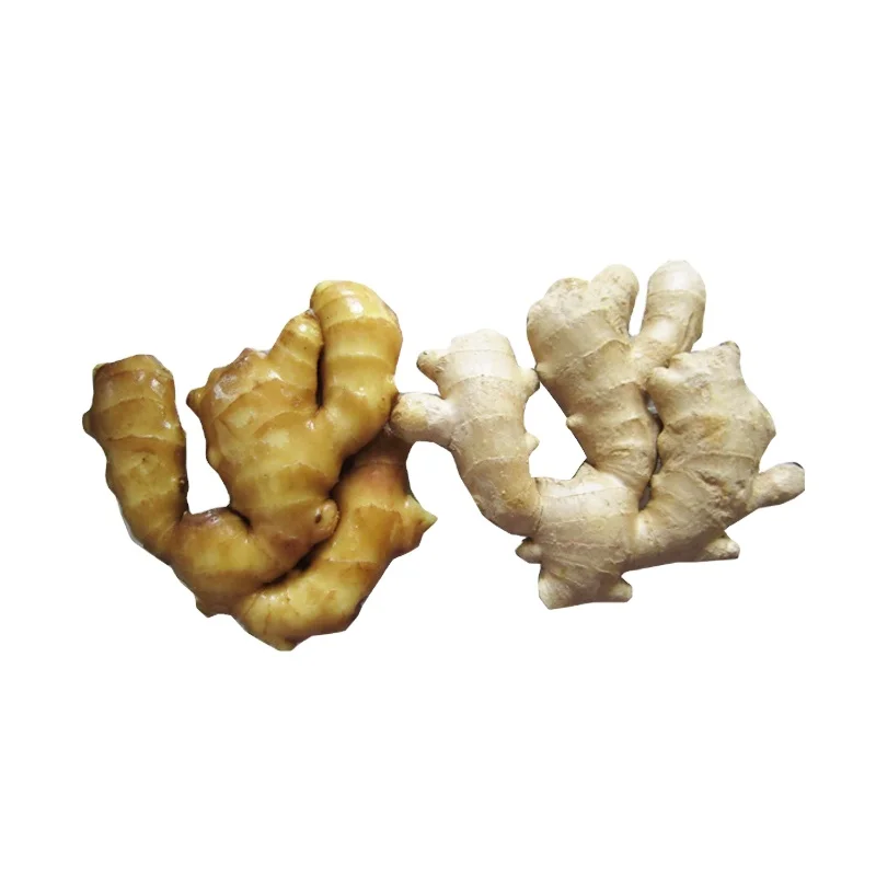 High quality of new crop Chinese fresh ginger air dry or dried ginger root market price from organic ginger fresh supplier