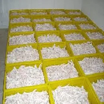 Halal Whole Frozen Chicken/ Best World Market Price / Poultry Products