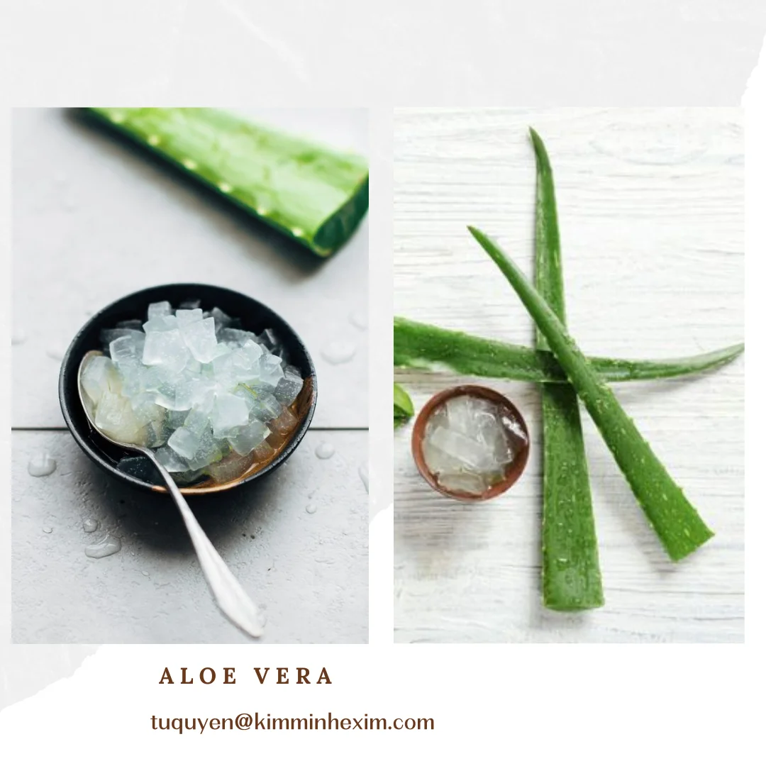 Premium Frozen Aloe Vera Dice/Chunks/Cubes - Bulk Wholesale from Vietnam - Whatsapp 8435 998 4136