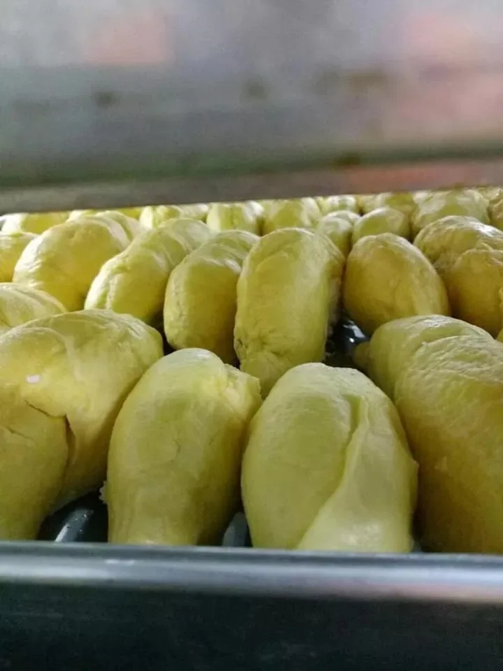 Monthong Durian Made In Vietnam So Fresh Premium Quality Fresh Whole Piece /Frozen Pulp Durian Fruit Monthong