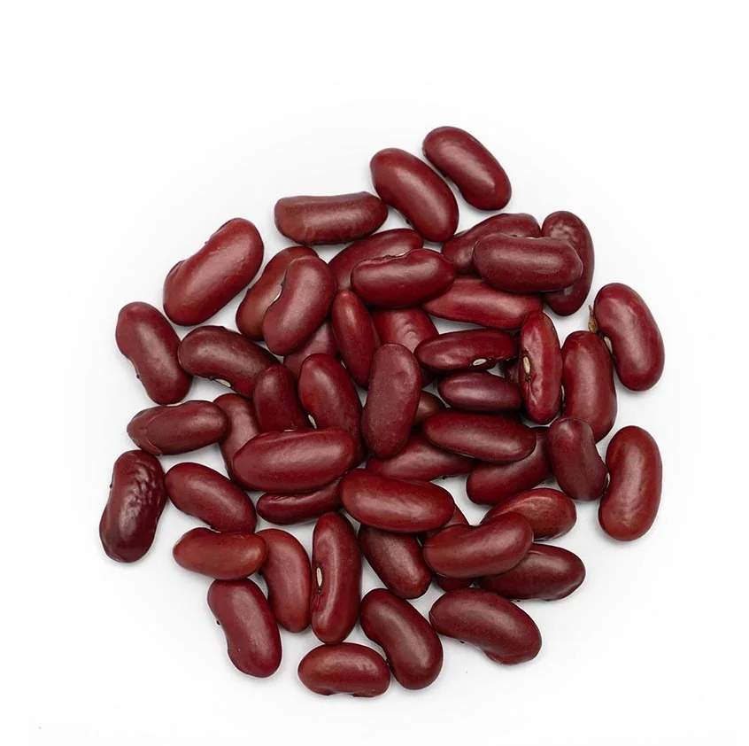 Shop Red Kidney Beans Now at Unbeatable Prices Perfect for Home Cooks and Chefs Enjoy Freshness and Quality in Every Dish