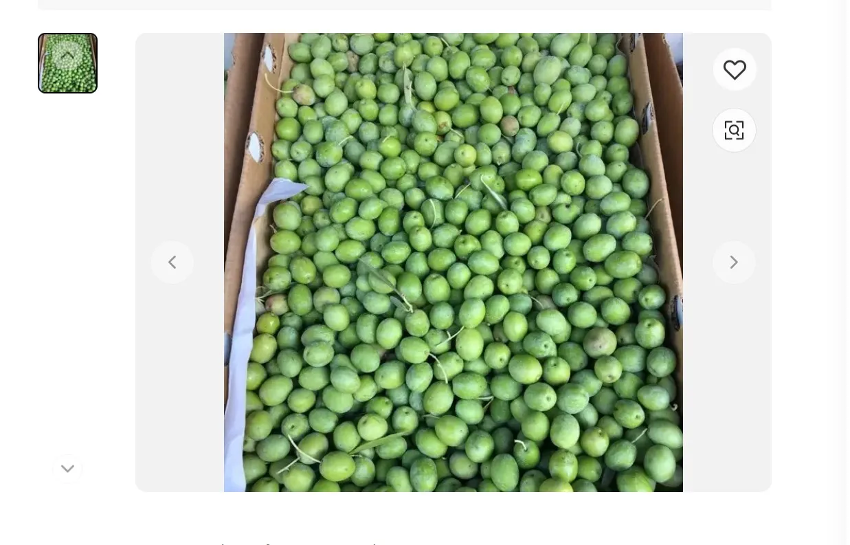 Good Quality fresh Olives At Wholesale Price