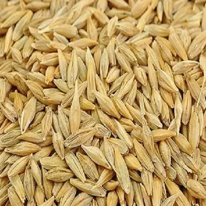 Barley Grains Premium Barley Seeds/Animal feed barley/bulk barley grains Ready For Export!!