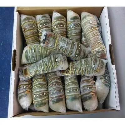 Souther Red Rock Lobster Frozen lobster tail Seasoned 100% Pure Lobster Tails