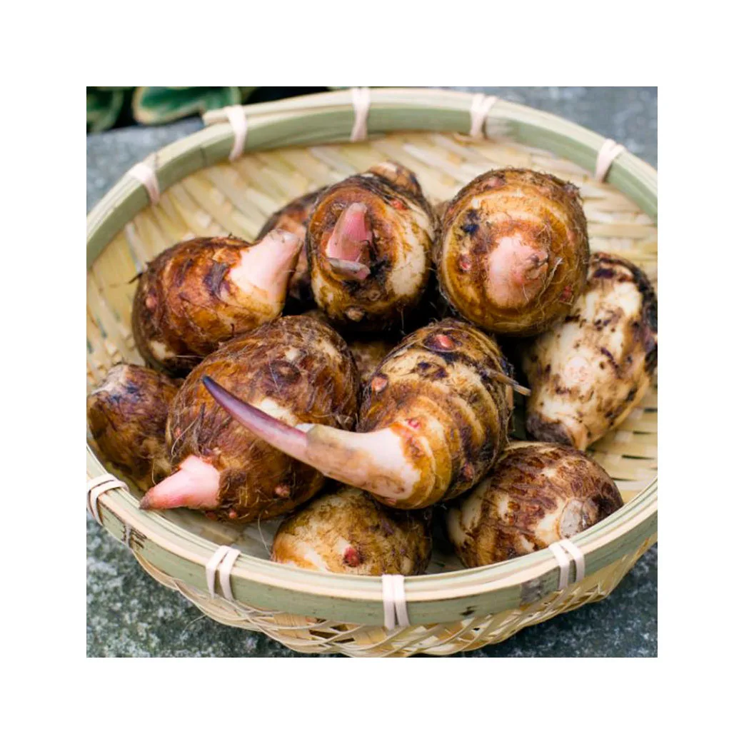 Organic New Crop Fresh Taro Origin