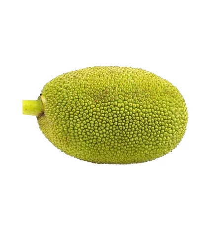 International Standards Tropical Fruit Sweet Taste Fresh Jackfruit 100% Organic Natural Yellow Color Good Price Ready To Ship