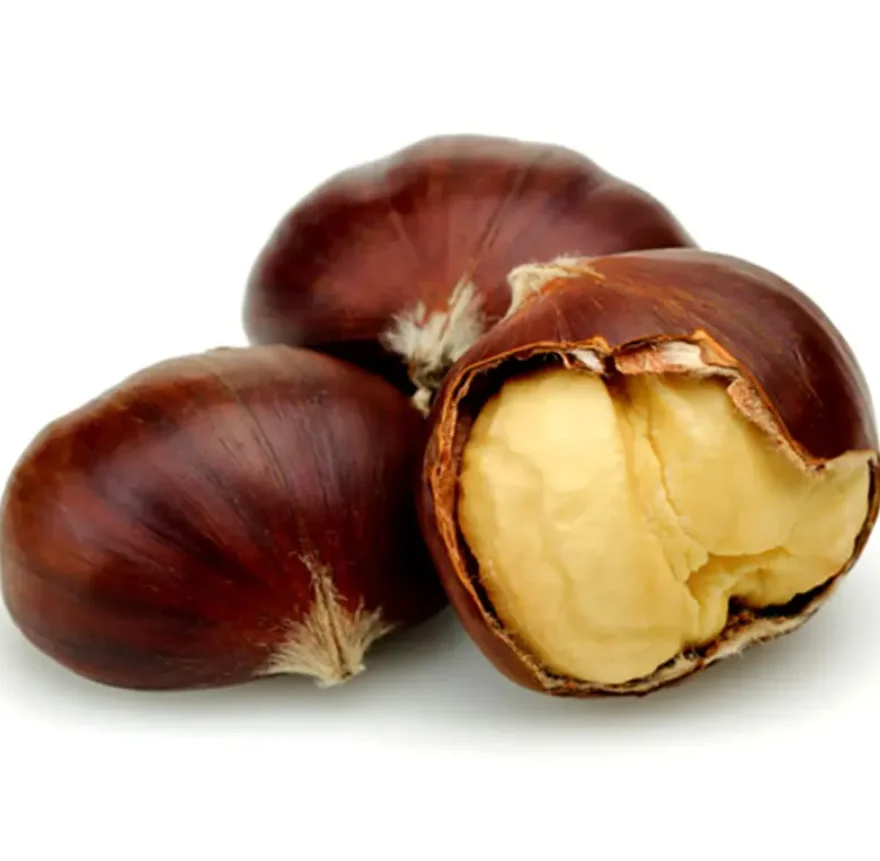 1600 (6).png