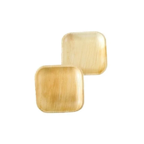 Natural Living Sustainable Partyware 5 Inches Square Shaped Areca Palm Leaf Plates for Sale at Best Prices