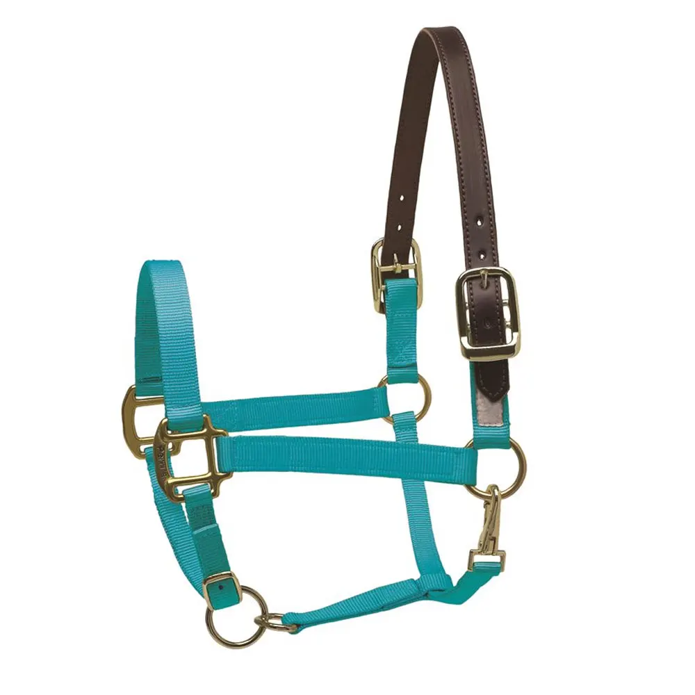 Adjustable Soft Horse Riding Equipment Halter Horse Bridle With Bit and Fixed Rein breast collar Belt For Horse