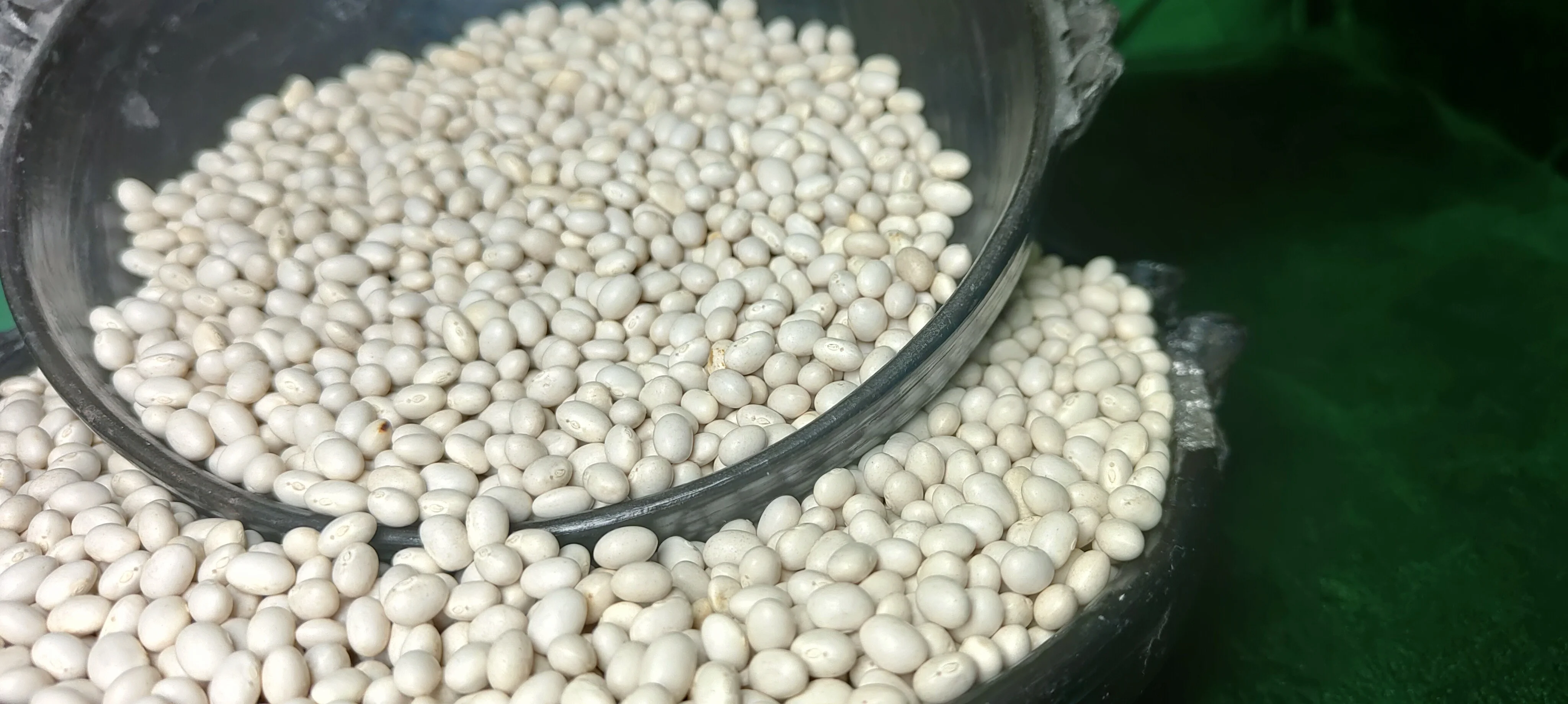 2024 Crop Ethiopian White Pea Beans, 420-450PCS/100gm, 98.5% Purity, Bright White & Natural Wholesale Bulk Dried