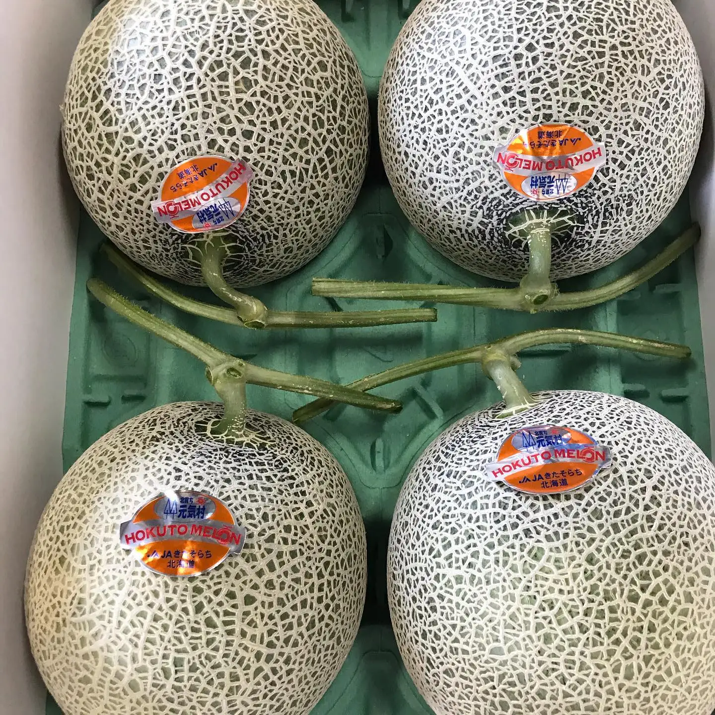 Bulk Fresh Japanese Red Flesh Dream Red Musk Melon