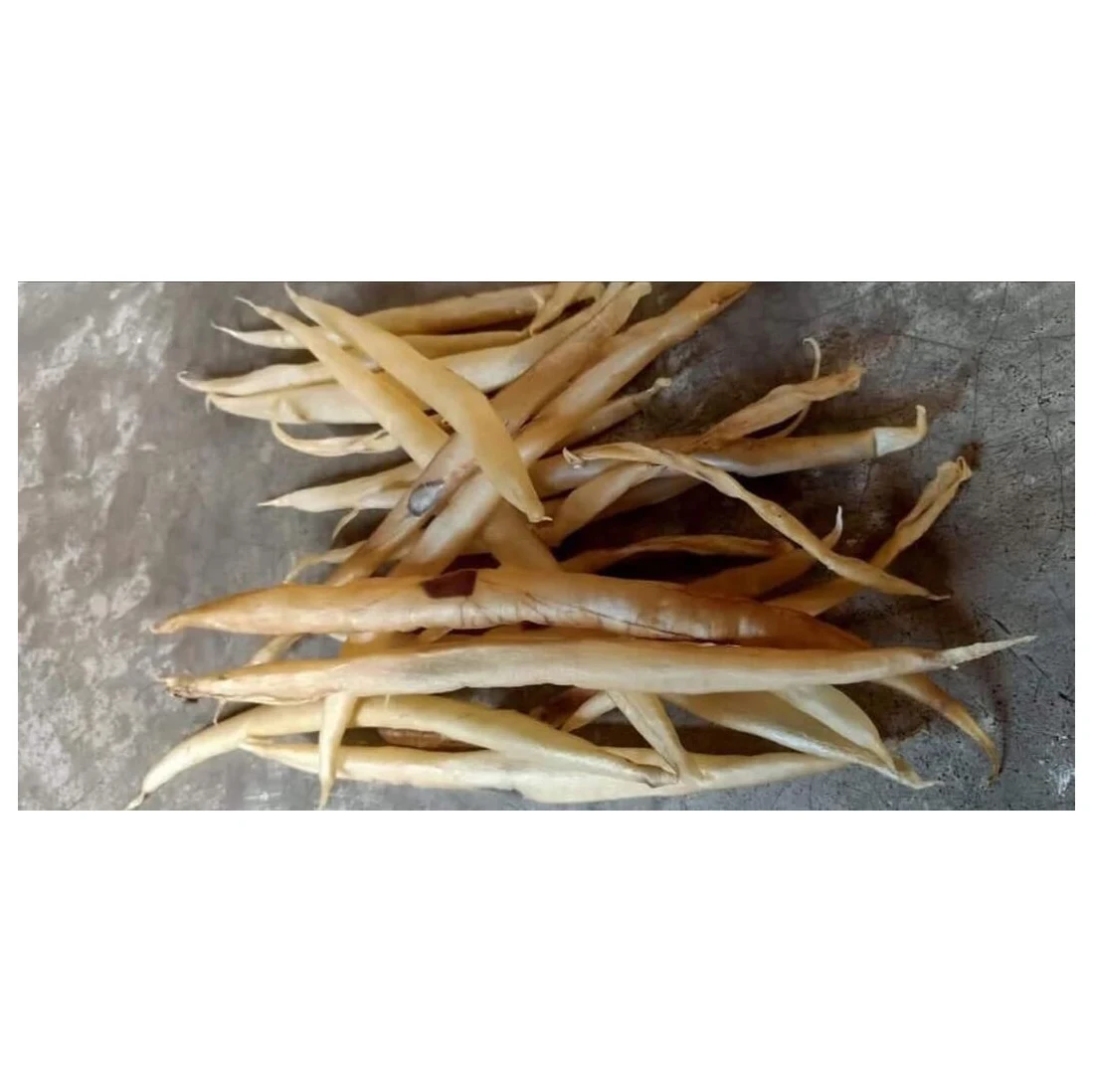 100% Natural Dried Top Quality EEL Fish Maw Sea Fish Food Wild Caught 100% Natural Fish Maw