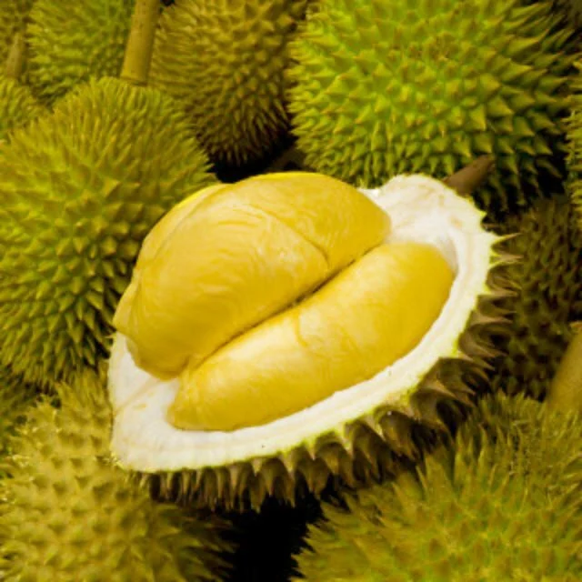 Hot selling organic frozen durian pulp musang king durian pulp