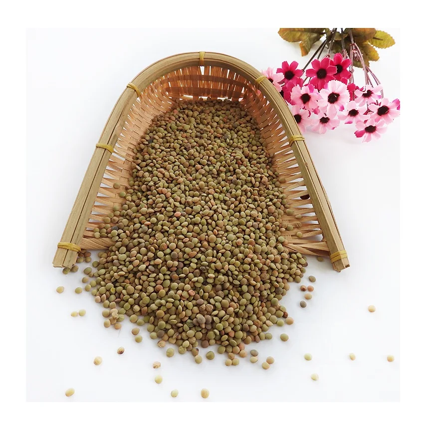 Hot Selling Price Canadian Whole Green Lentils Dry Organic Green Lentils in Bulk
