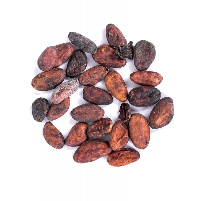 Quality Raw Cocoa Bean Affordable Price