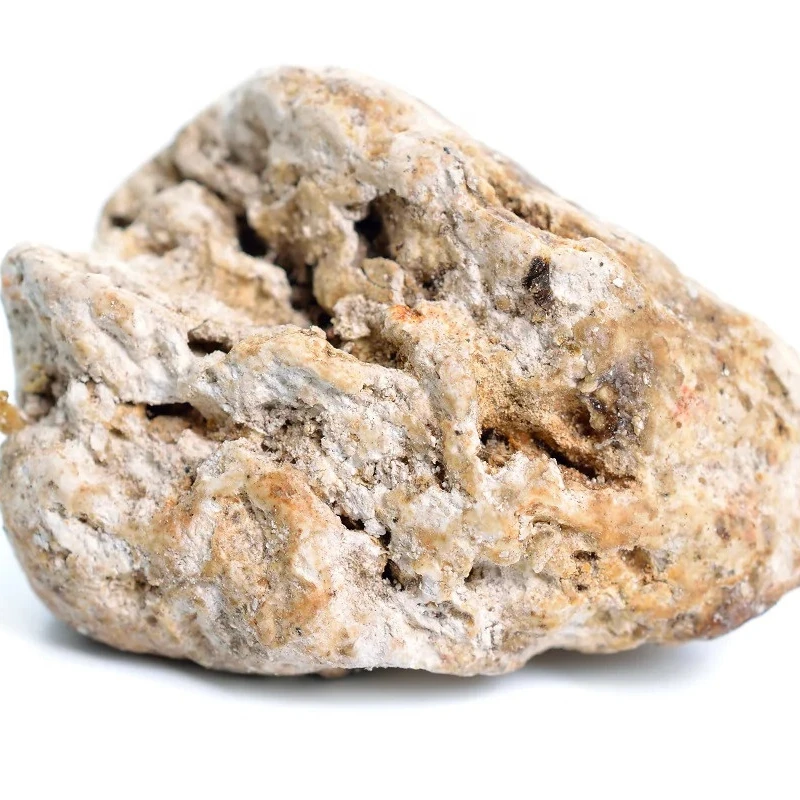 Floating Gold Ambergris Whale Vomit Wholesale Supplier | Shop Online The Treasure Of The Sea