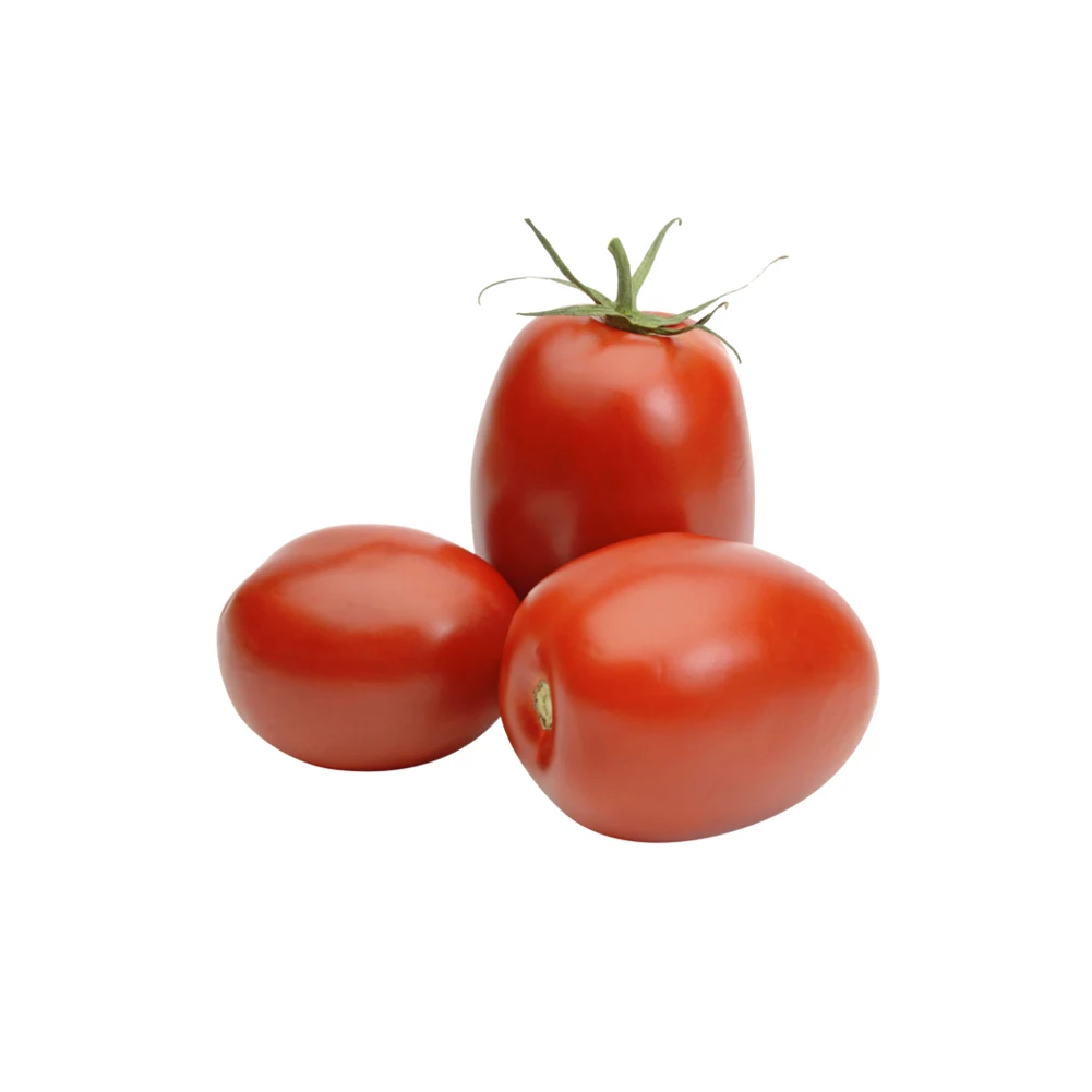 Fresh tomatoes for sale own production farm natural product in bulk