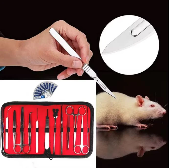 surgery kit 11 Pieces Surgical Kits With Scalpel Handle Knife Scissor Tweezers Tools Sets With Leather Case in wholesale price