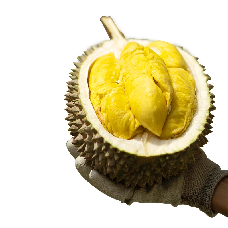 Самый популярный продукт, свежий дуриан премиум класса D24 (замороженная целлюлоза) с сильным ароматизатором, богатый из малайзии