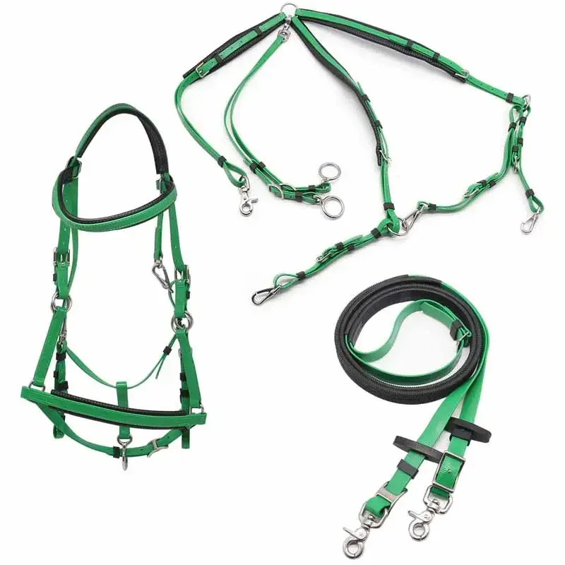 Weather-Resistant PVC Equestrian Horse Riding Bridle Rein Martingale Set Full Marathon Horse Racing Metal White Green Nylon