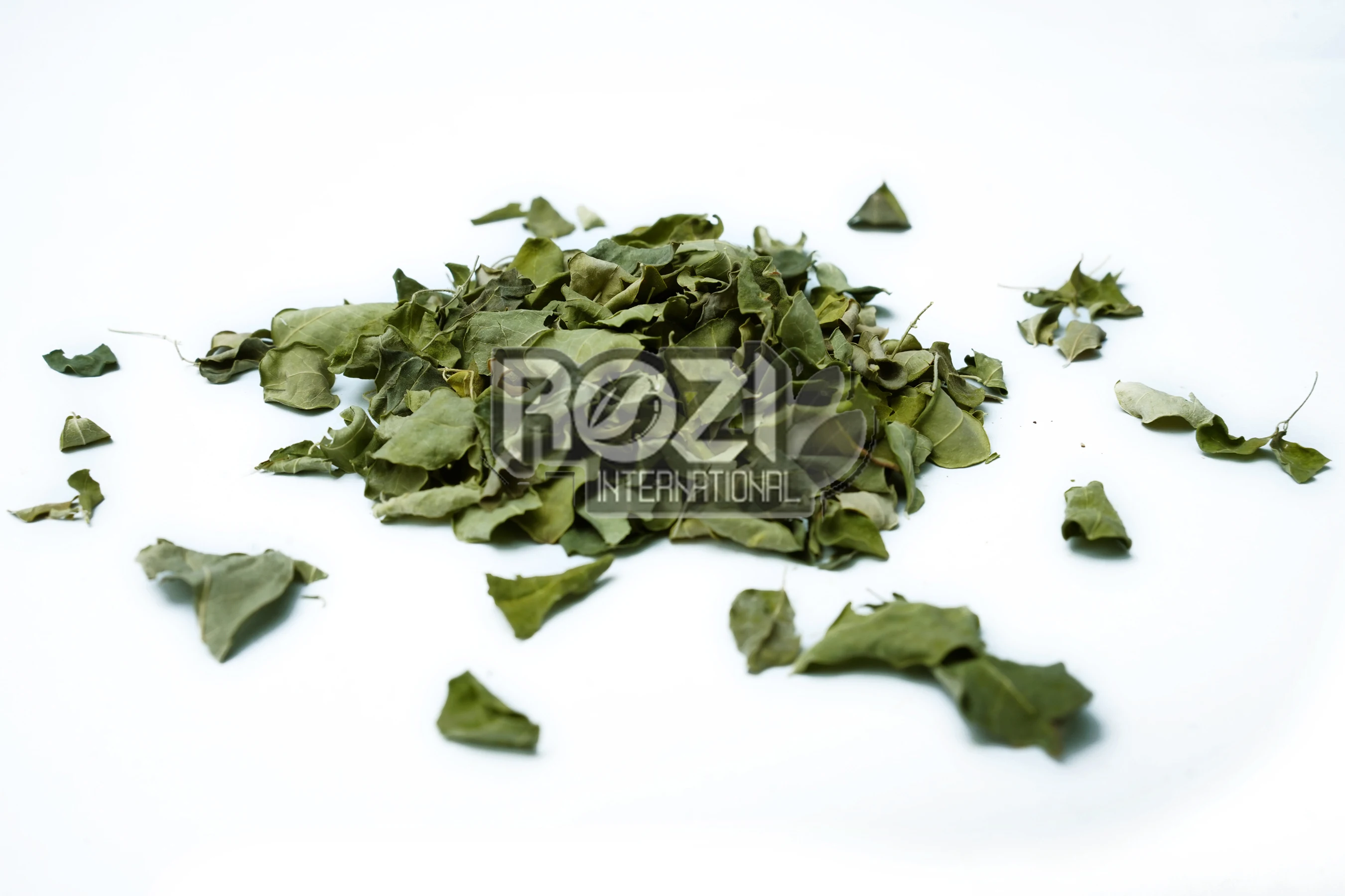 Moringa Leaves / Moringa Oleifera /  Sohanjna Patta