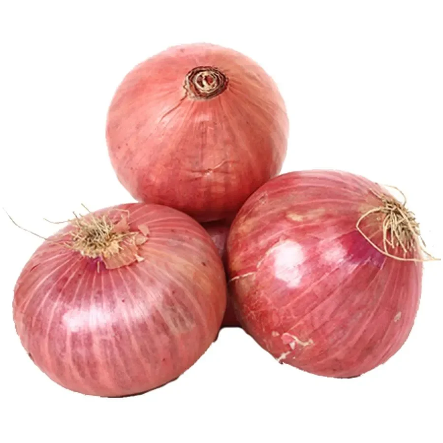 Hot Selling Good Quality Fresh Light Red Onions for Eatable Available at Wholesale Prices for Worldwide Export From India