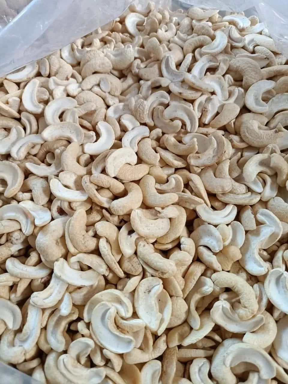 cashew milk and bakery Best Option Newest crop 2022 high quality broken cashew kernels LP, WS